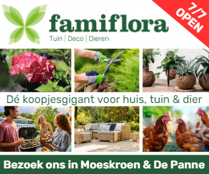 Famiflora